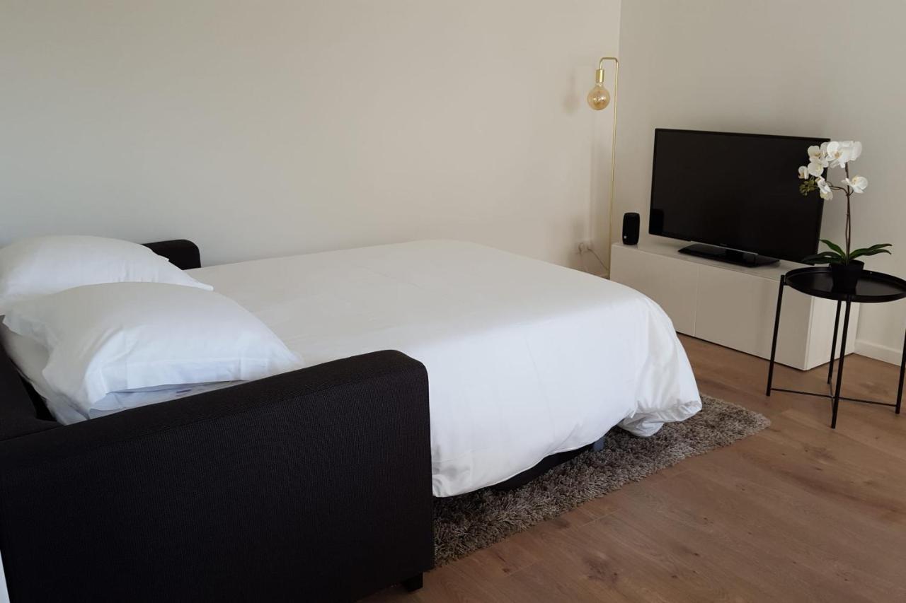 La Roseraie - Apartment 100M From Lake Annecy Dış mekan fotoğraf